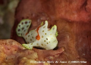 190127-i-01riokero.jpg