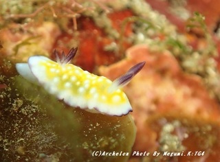 190208-k-02erahuri.jpg