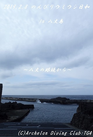 190208-ya02.jpg