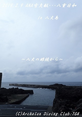 190209-ya02.jpg