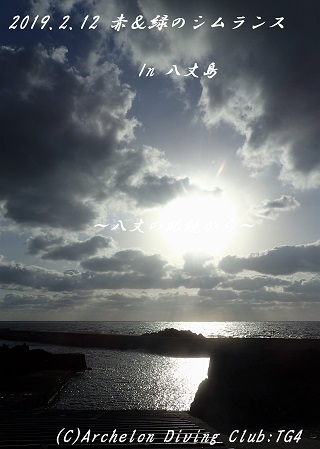 190212-yae02.jpg