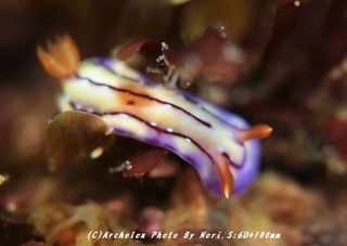 190215-n-01kurakatoa.jpg