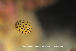 190216-n-02jp.jpg