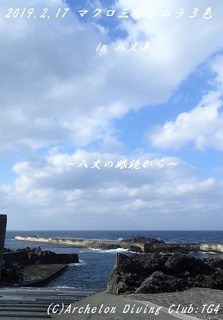 190217-ya02.jpg
