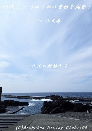 190301-ya03.jpg