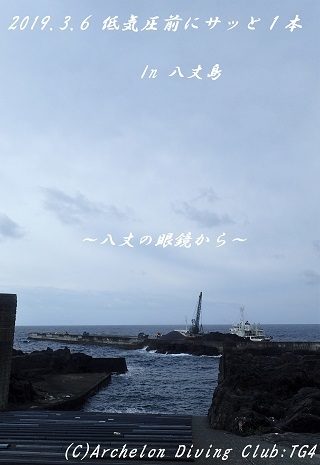 190306-ya02.jpg