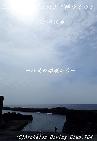 190315-ya02.jpg