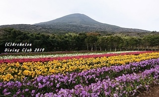 190322-furijia.jpg