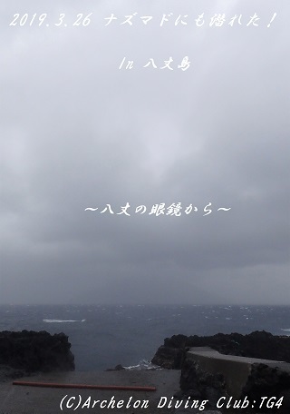 190326-sona02.jpg