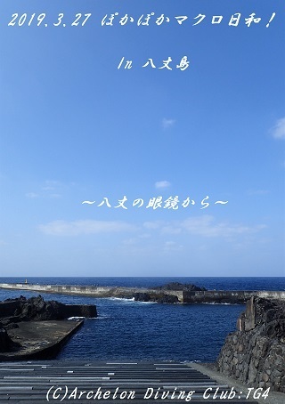 190327-ya02.jpg