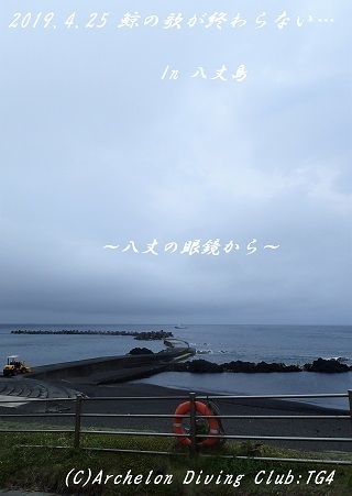 190425-so02.jpg