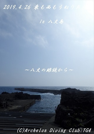 190426-soya02.jpg