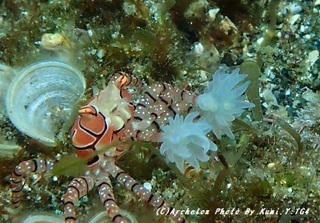 190428-y-02kinchaku.jpg