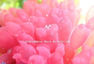 190501-yut-baloon.jpg
