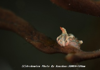 190503-a-toumon.jpg
