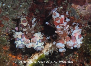 190503-d-04hurisode.jpg