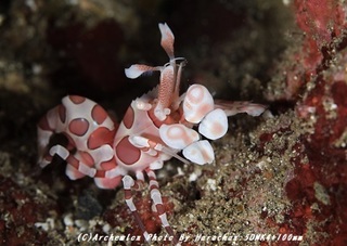 190503-h-hurisode.jpg