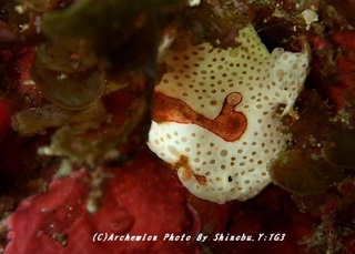 190503-y-02irokero.jpg