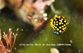 190505-r-02tento.jpg