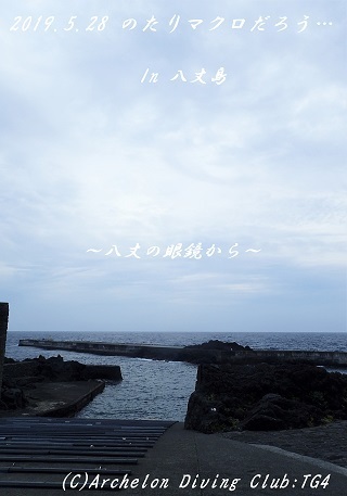 190528-ya02.jpg