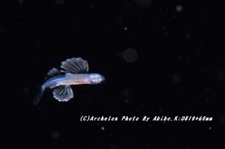 190601-k-01tobi.jpg