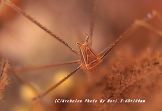 190602-s-09oruto.jpg
