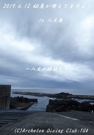 190612-ya02.jpg