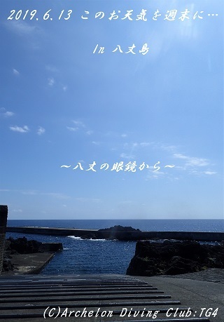 190613-ya02.jpg
