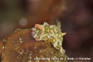 190614-m-01toumon.jpg