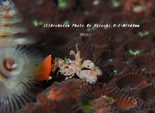 190721-o-02hurisode.jpg