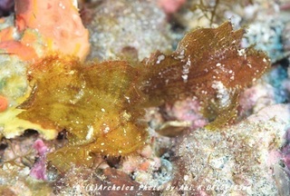 190810-a-03hadakaha.jpg