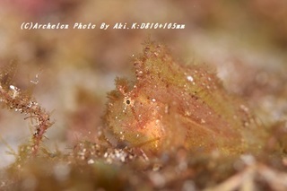 190810-a-06hadakaha.jpg