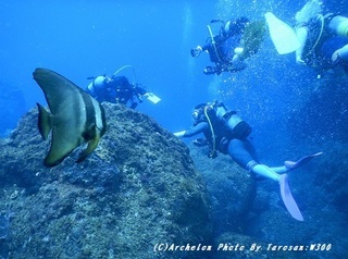 190811-ta-01tubame.jpg