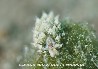 190813-h-03teng.jpg