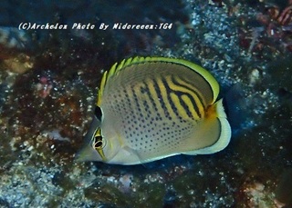 190824-m-01shichisen.jpg