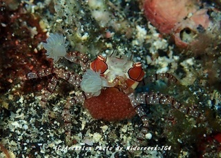 190824-m-02kinchaku.jpg