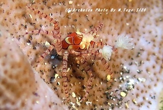 190902-to-03kincahku.jpg