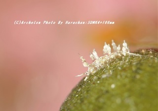 190920-h-03caroo02.jpg
