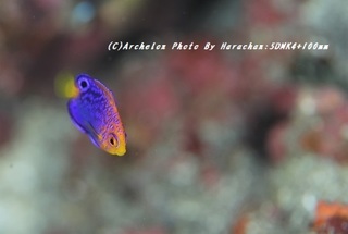 190921-h-04renten.jpg