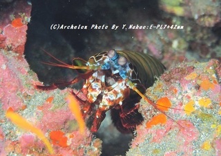 190922-n-01monhana.jpg