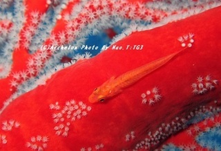 190923-na-01haze.jpg