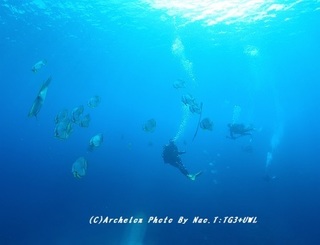 190924-na-07wide.jpg