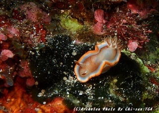 190928-ch-03kyara.jpg