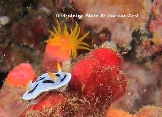 190928-fu-04daiana.jpg