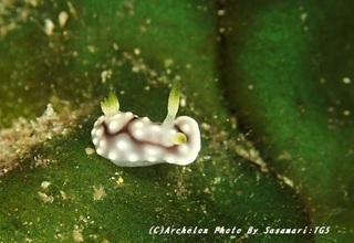 190928-sasa-02kika.jpg