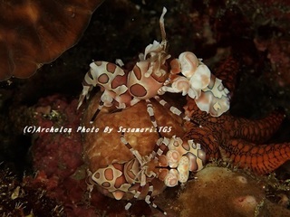 190929-sasa-09hurisode.jpg