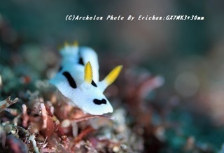 191021-er-04daiana.jpg