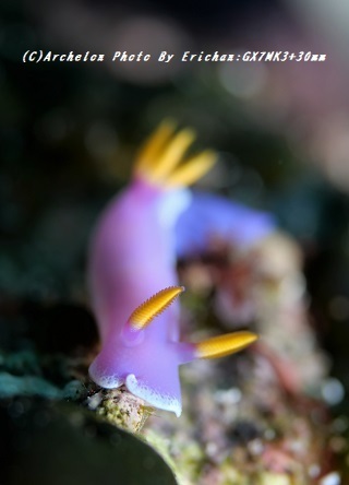 191021-er-05shindere.jpg