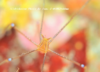 191109-tom-03oruto.jpg