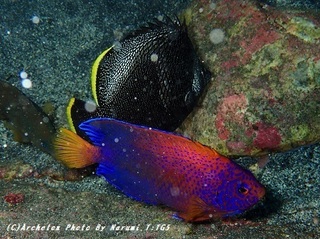 191109-tuchi-03renten.jpg